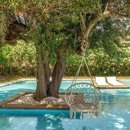 Ow Andros 4,private Whirlpool 4* Kato Fellos