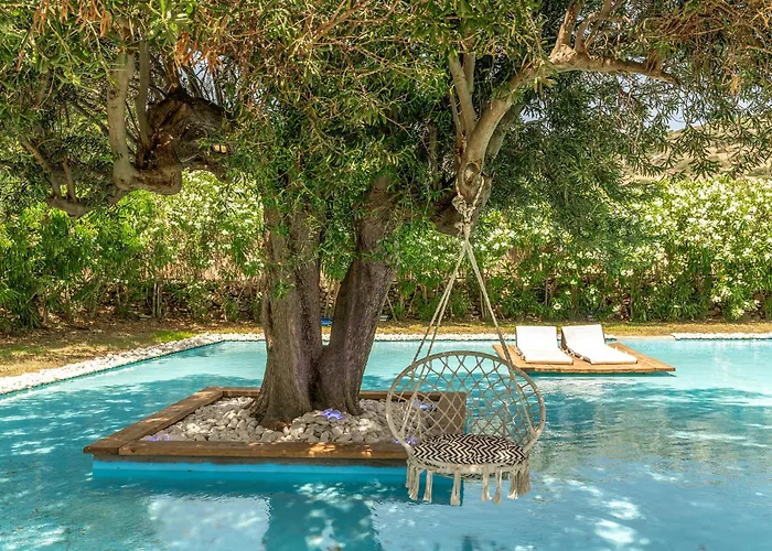 Ow Andros 4,private Whirlpool 4* Kato Fellos